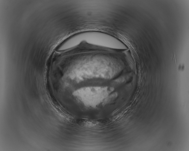 X0000088860346200706291523