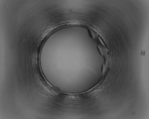 X0000088860347200706291523