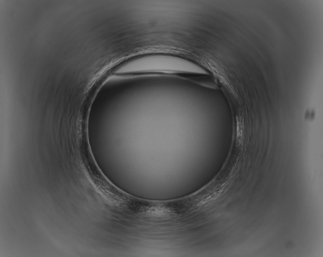 X0000088860348200706291523