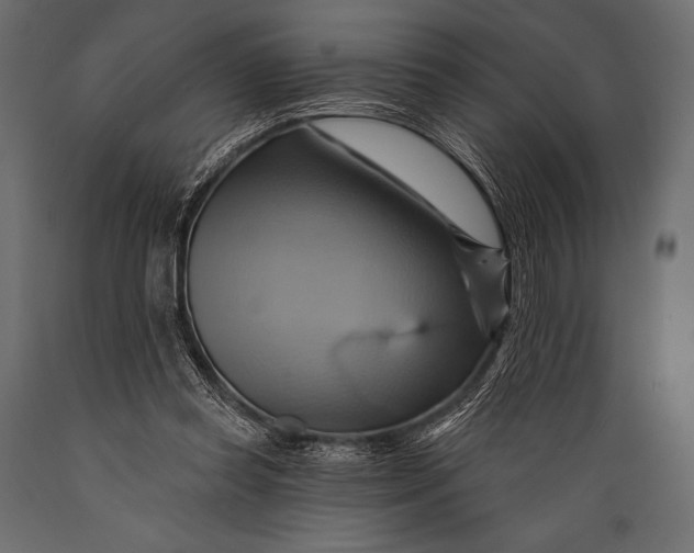 X0000088860349200706291523