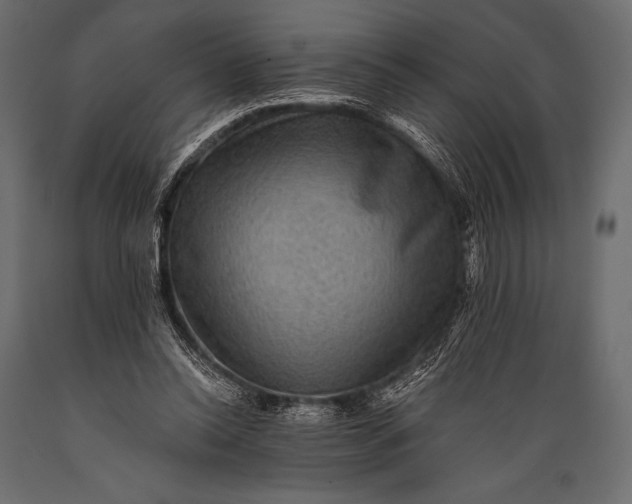 X0000088860350200706291523