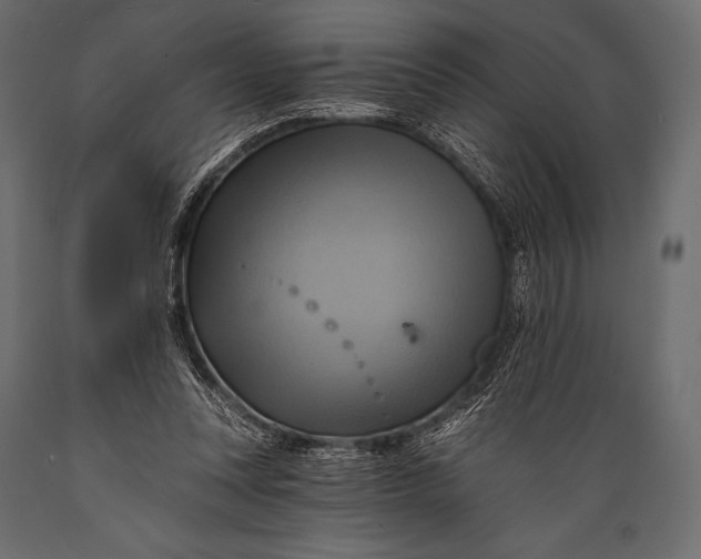 X0000088860351200706291523