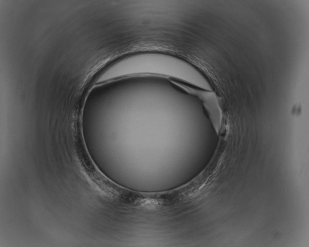 X0000088860352200706291523