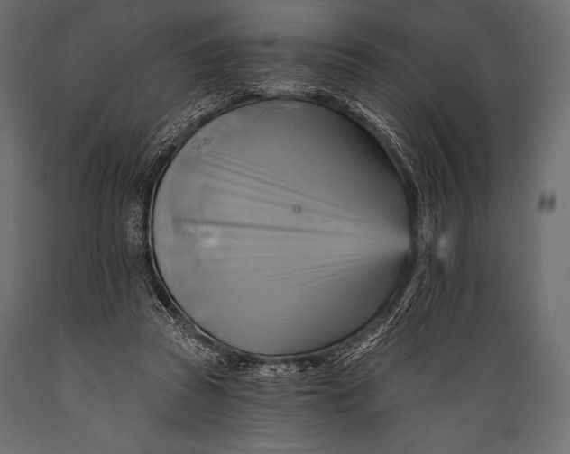 X0000088860353200706291523