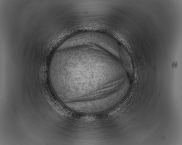 X0000088860354200706291523