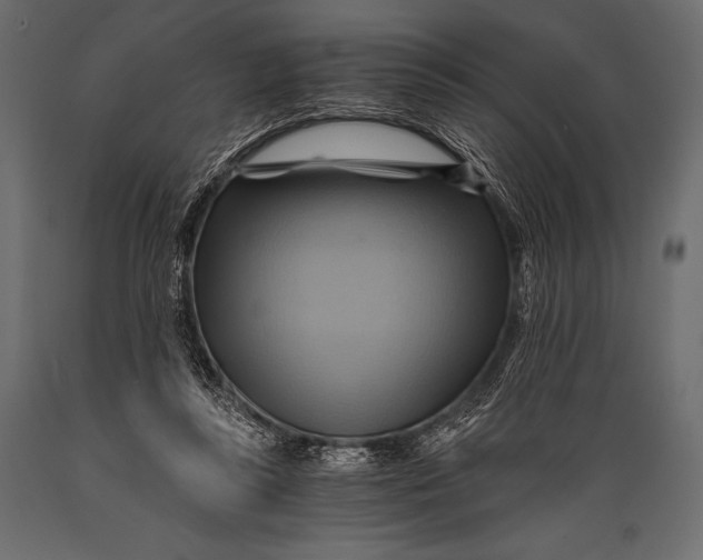 X0000088860355200706291523