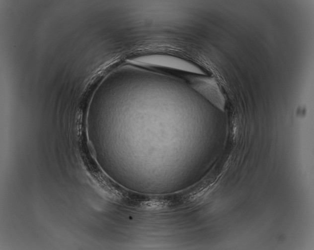 X0000088860356200706291523