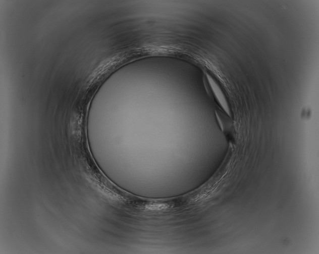 X0000088860357200706291523