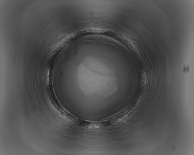 X0000088860358200706291523