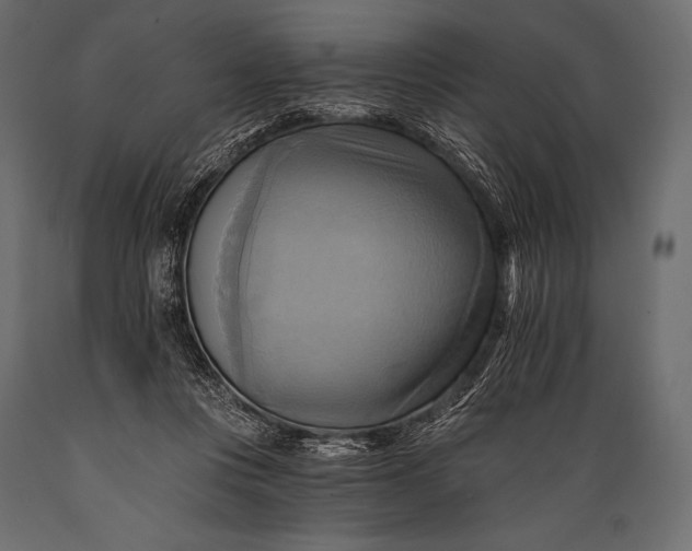 X0000088860359200706291523