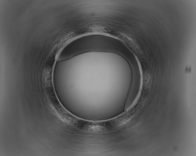 X0000088860360200706291523