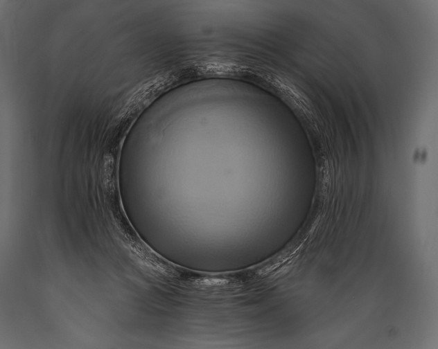 X0000088860361200706291523