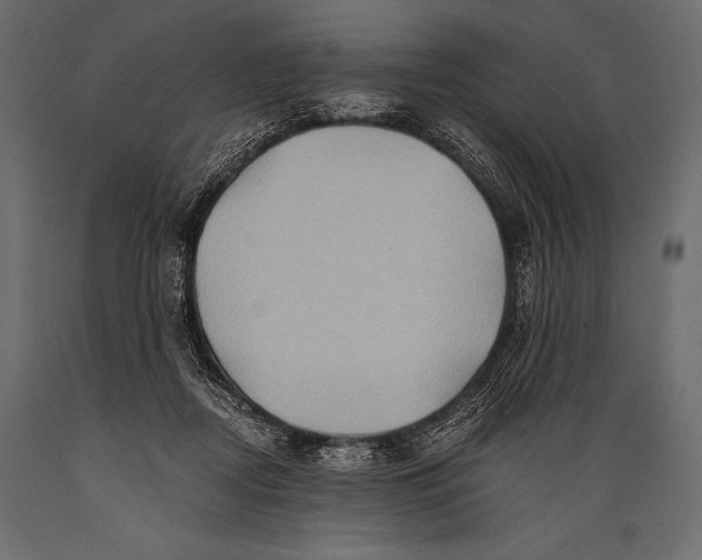 X0000088860362200706291523