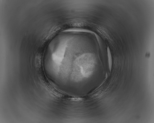 X0000088860363200706291523