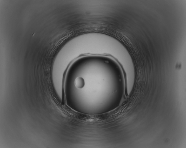 X0000088860364200706291523