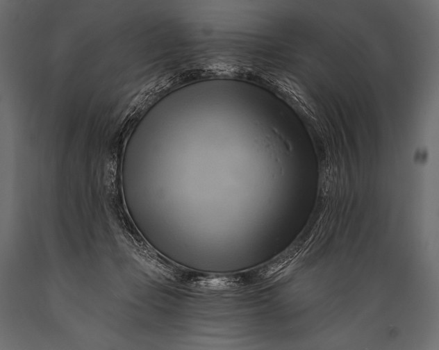 X0000088860365200706291523