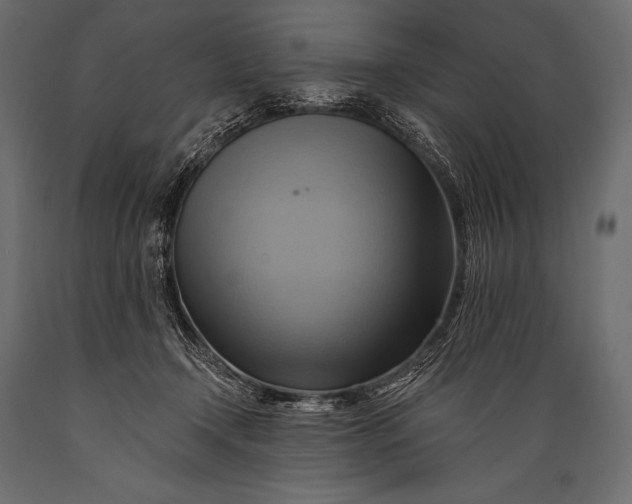 X0000088860366200706291523