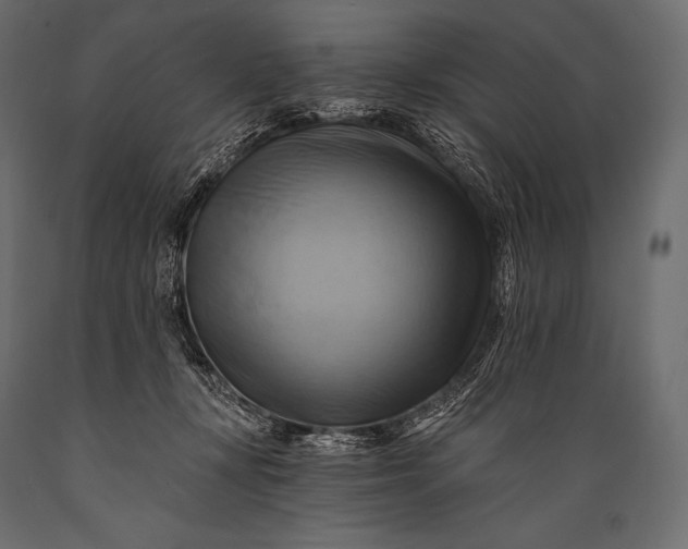 X0000088860367200706291523