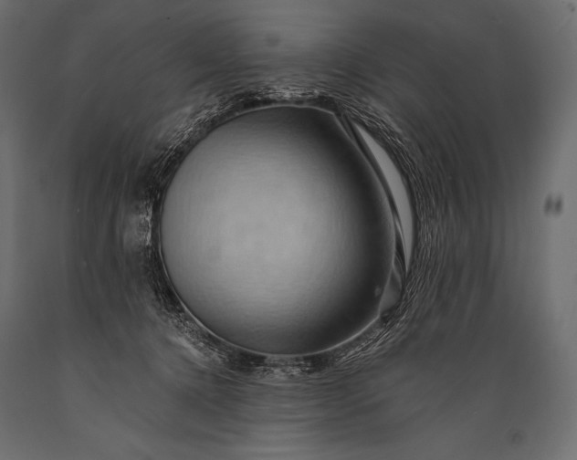 X0000088860368200706291523