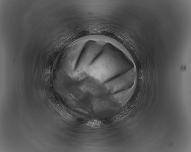 X0000088860369200706291523