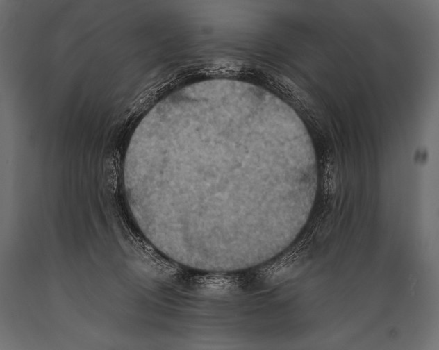 X0000088860370200706291523