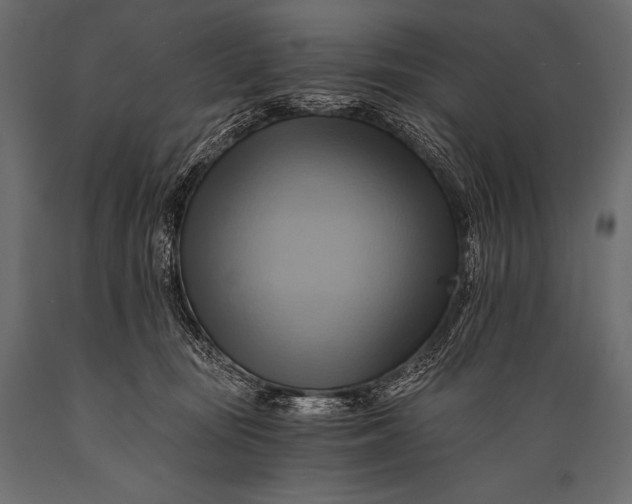 X0000088860371200706291523