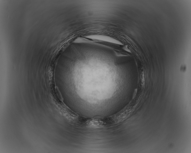 X0000088860372200706291523