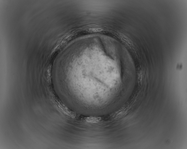 X0000088860373200706291523