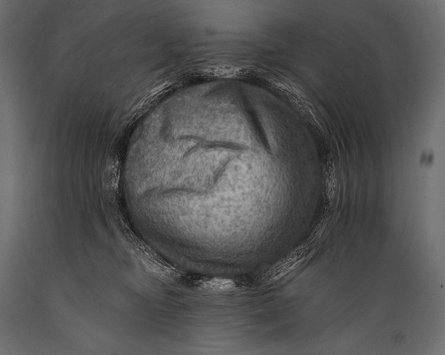 X0000088860374200706291523