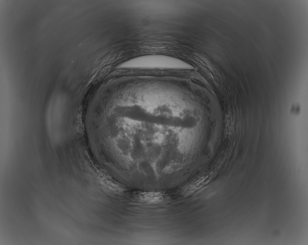 X0000088860377200706291523