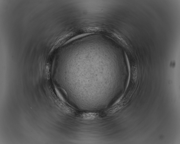 X0000088860378200706291523