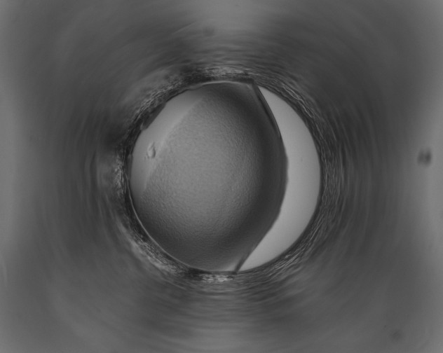 X0000088860380200706291523