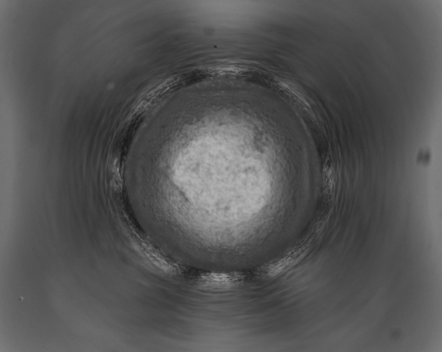 X0000088860381200706291523