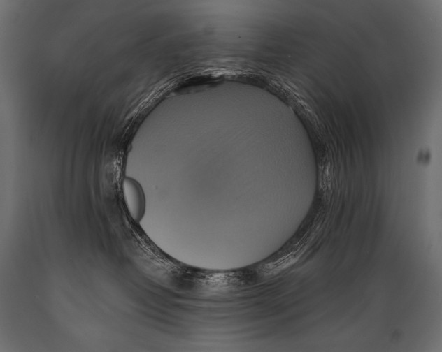 X0000088860382200706291523