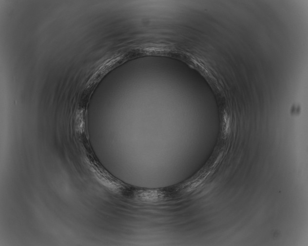 X0000088860383200706291523