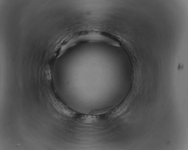 X0000088860384200706291523