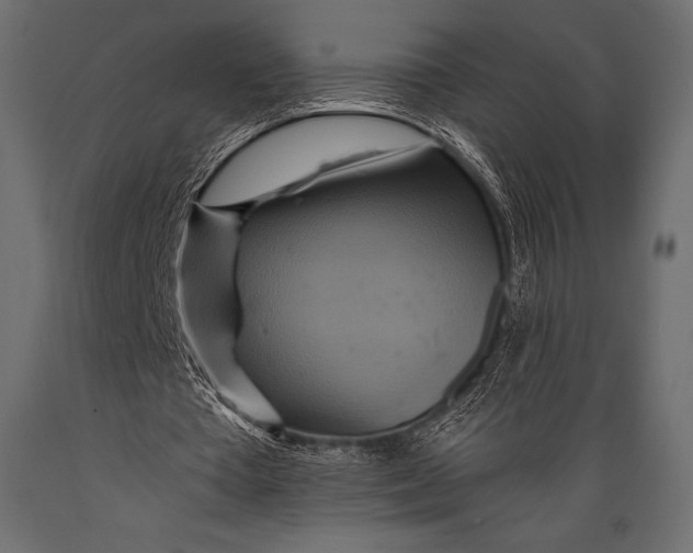 X0000088860385200706291522