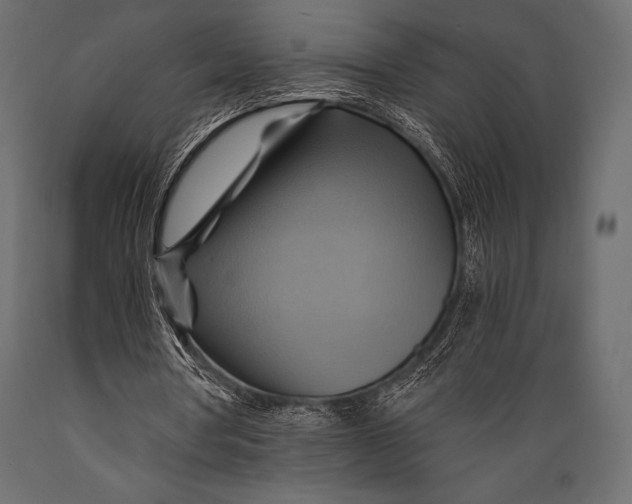 X0000088860386200706291522