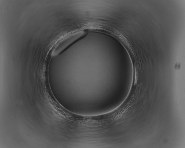 X0000088860387200706291522