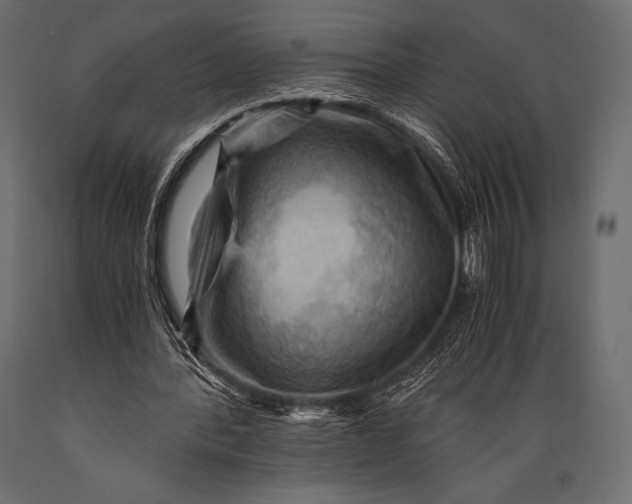 X0000088860388200706291522