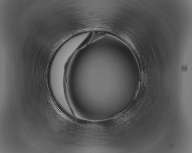 X0000088860389200706291522