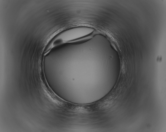 X0000088860390200706291522