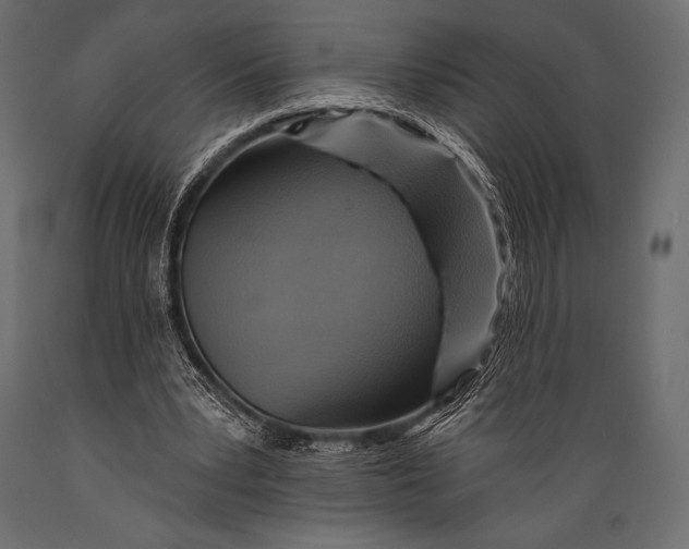 X0000088860391200706291522