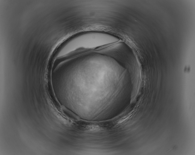 X0000088860392200706291522