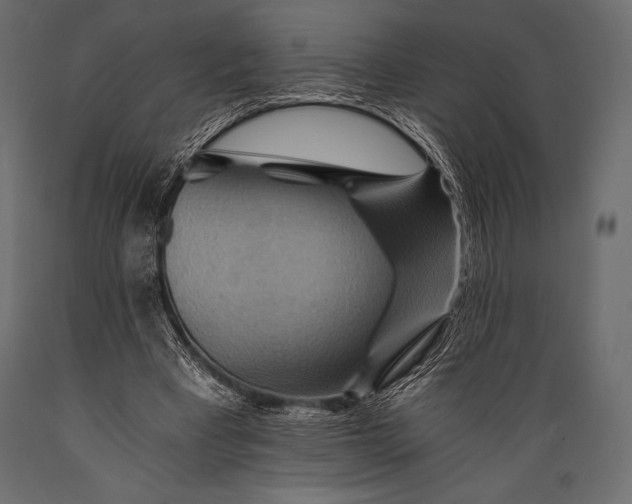 X0000088860393200706291522