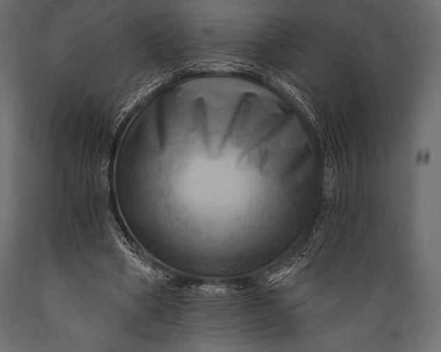 X0000088860394200706291522