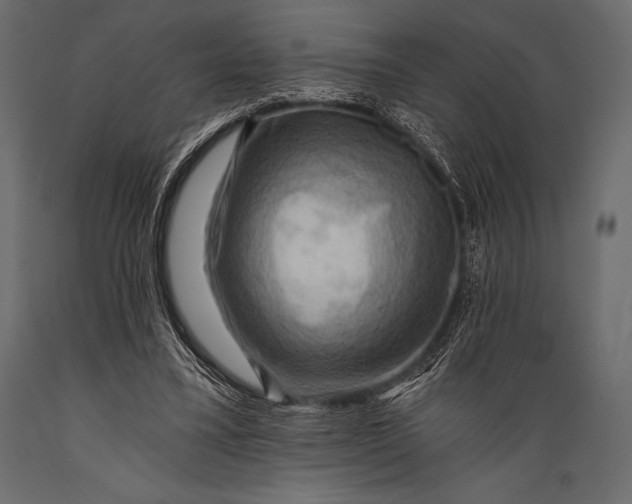 X0000088860395200706291522