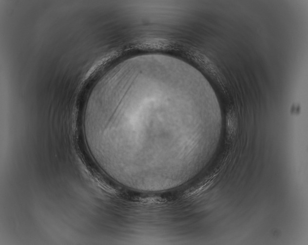 X0000088860396200706291522