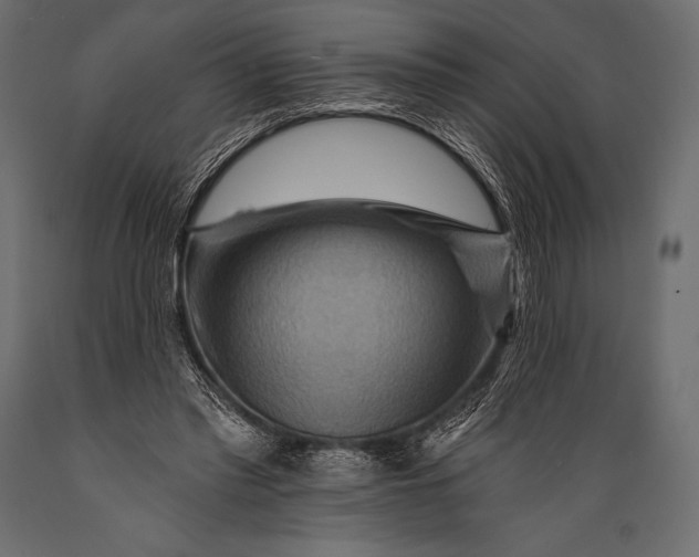 X0000088860397200706291522