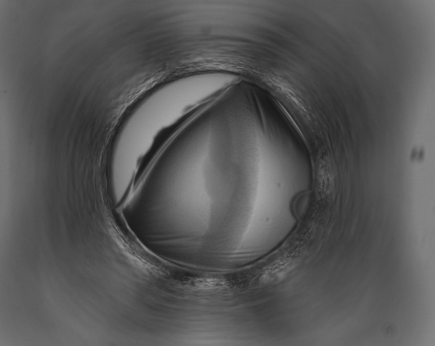 X0000088860398200706291522